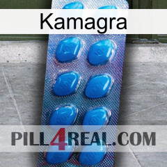 Kamagra viagra1